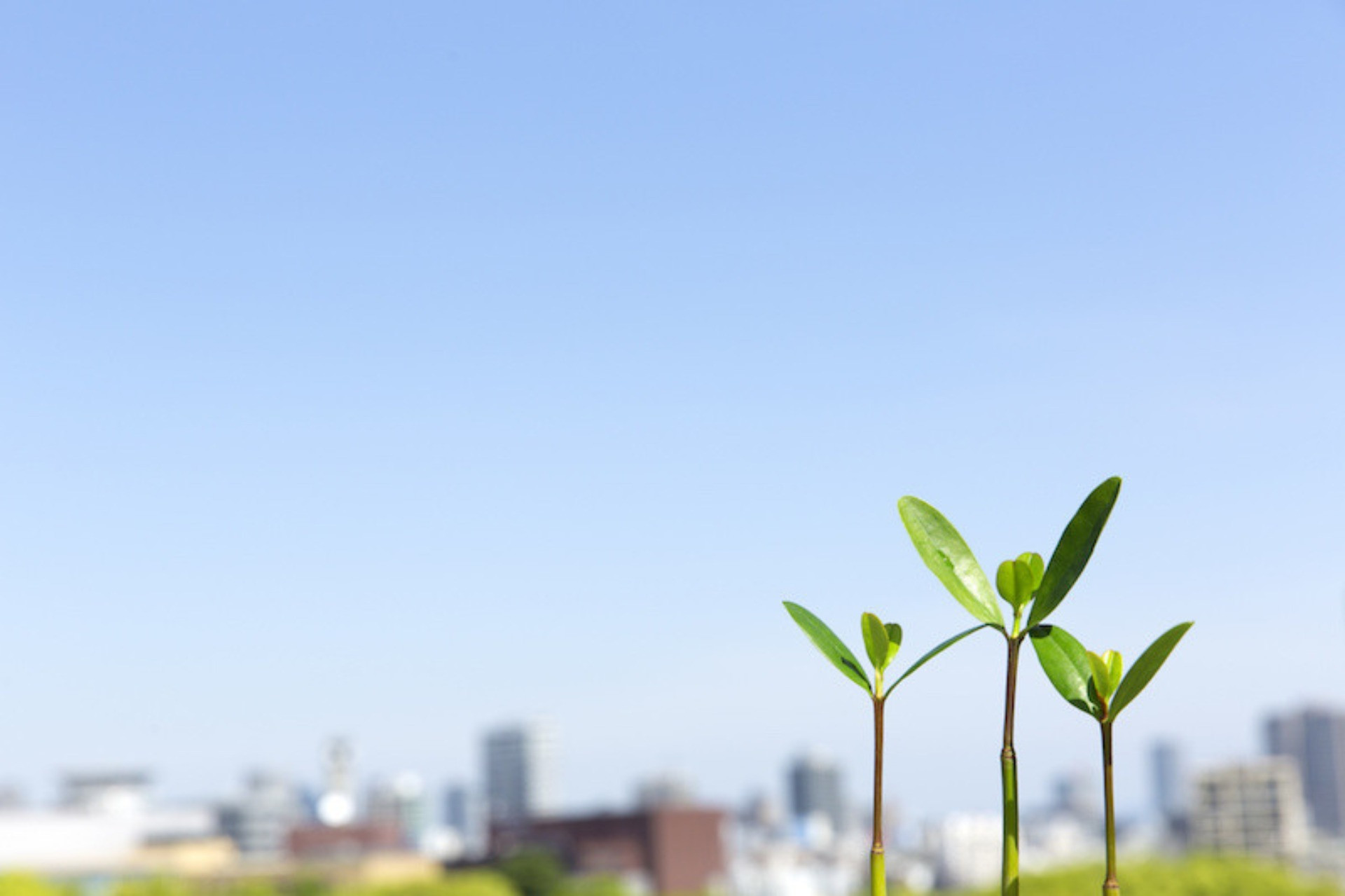 ホームページを公開しました。