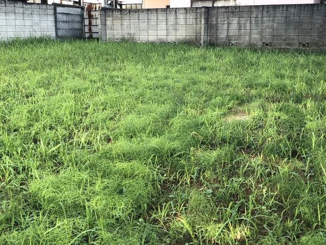 相続登記の義務化　　　港北区の司法書士のブログ